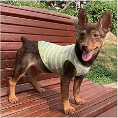 Yqys dog shirts for sale  Delivered anywhere in USA 