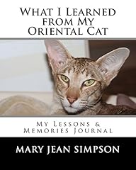 Learned oriental cat for sale  Delivered anywhere in UK