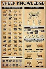 Sheep knowledge metal for sale  Delivered anywhere in USA 