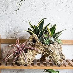 Oma natural driftwood for sale  Delivered anywhere in USA 