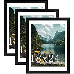 Picrit 18x24 picture for sale  Delivered anywhere in USA 