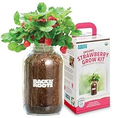 Back roots windowsill for sale  Delivered anywhere in USA 
