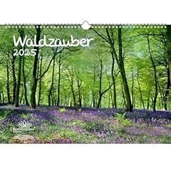 Waldmagber calendario formato usato  Spedito ovunque in Italia 