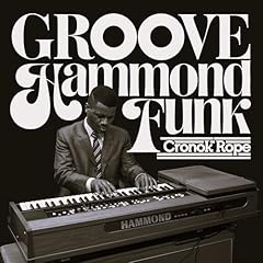 Groovy organ funky for sale  Delivered anywhere in USA 