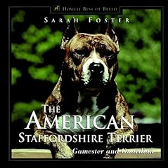 American staffordshire terrier for sale  Delivered anywhere in USA 
