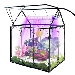 Plant terrarium grow for sale  Delivered anywhere in USA 
