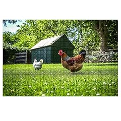 Jigsaw puzzles 1000 for sale  Delivered anywhere in USA 