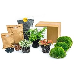 Urbanjngl com flaschengarten gebraucht kaufen  Wird an jeden Ort in Deutschland