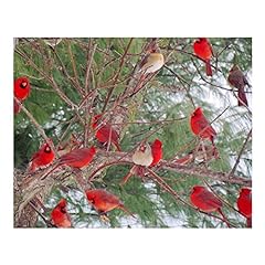 Radiance cardinals winter for sale  Delivered anywhere in USA 
