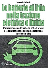 Batterie litio nella usato  Spedito ovunque in Italia 