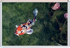 Bbsm947 koi jumbo for sale  Delivered anywhere in UK