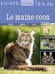 Maine coon d'occasion  Livré partout en Belgiqu