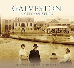 Galveston city stilts for sale  Delivered anywhere in USA 