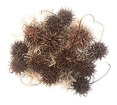 Generic witch burrs for sale  Delivered anywhere in USA 