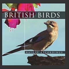 British birds for sale  Delivered anywhere in UK