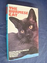 Burmese cat for sale  Delivered anywhere in UK