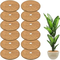 Zeedix pcs coconut for sale  Delivered anywhere in USA 