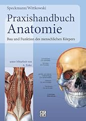 Praxishandbuch anatomie bau gebraucht kaufen  Wird an jeden Ort in Deutschland
