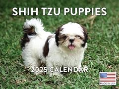Shih tzu puppy for sale  Delivered anywhere in USA 