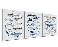 Nogrit shark decor for sale  Delivered anywhere in USA 