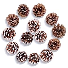 15pcs christmas pine for sale  Delivered anywhere in USA 