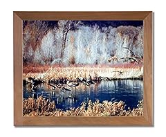 Canadian geese lake for sale  Delivered anywhere in USA 
