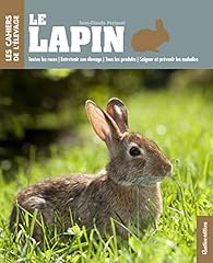 Lapin races entretenir d'occasion  Livré partout en France