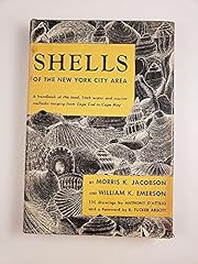 Shells new york for sale  Delivered anywhere in USA 