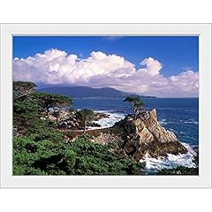 Canvas demand united for sale  Delivered anywhere in USA 