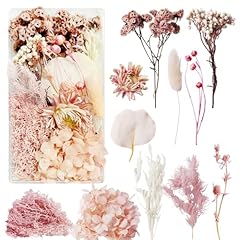 Fiori secchi decorativi usato  Spedito ovunque in Italia 