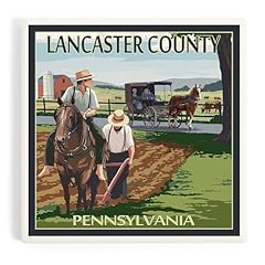 Lancaster county pennsylvania for sale  Delivered anywhere in USA 