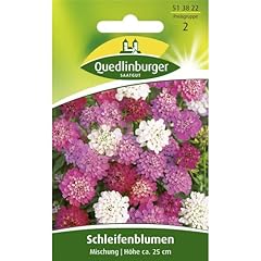 Schleifenblumen iberis umbella gebraucht kaufen  Wird an jeden Ort in Deutschland