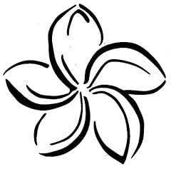 Fancy plumeria flower for sale  Delivered anywhere in USA 