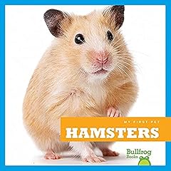 Hamsters for sale  Delivered anywhere in USA 