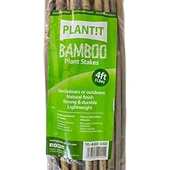 Plant 480 060 for sale  Delivered anywhere in UK