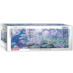 Waterlilies claude monet for sale  Delivered anywhere in USA 
