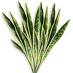 Artificial snake plant for sale  Delivered anywhere in USA 