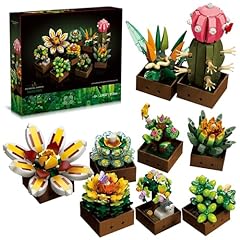 Hanmun succulents plants for sale  Delivered anywhere in USA 