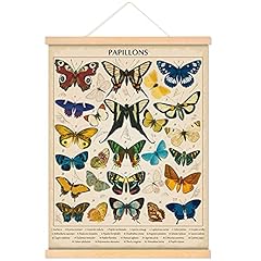 Vintage papillons butterflies for sale  Delivered anywhere in USA 