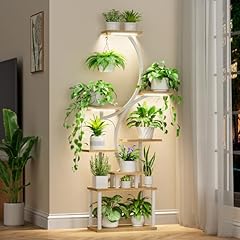 Bacekoll tiered plant for sale  Delivered anywhere in USA 