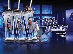 Lab rats for sale  Delivered anywhere in UK