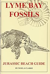 Jurassic beach guide for sale  Delivered anywhere in UK