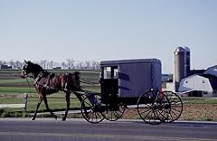 Historicalfindings photo amish for sale  Delivered anywhere in USA 