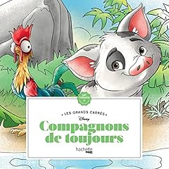 Grands carrés compagnons d'occasion  Livré partout en France