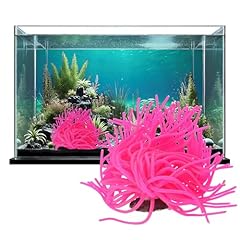 Sporn sea anemone for sale  Delivered anywhere in USA 