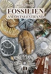 Fossilien stseestrand gebraucht kaufen  Wird an jeden Ort in Deutschland