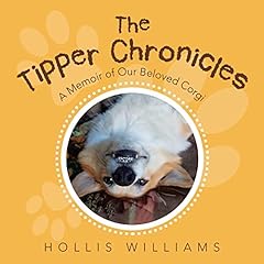 Tipper chronicles memoir for sale  Delivered anywhere in Ireland