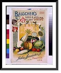 Historic framed print for sale  Delivered anywhere in USA 