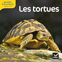 Docs ribambelle cycle d'occasion  Livré partout en France