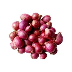 Onion shallots small for sale  Delivered anywhere in UK